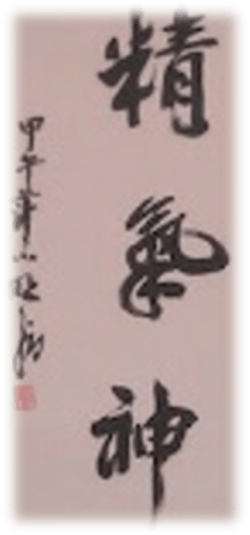3 Schätze JING QI SHEN